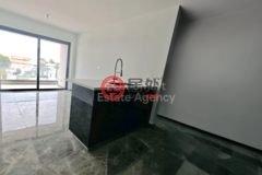 塞浦路斯, Nicosia