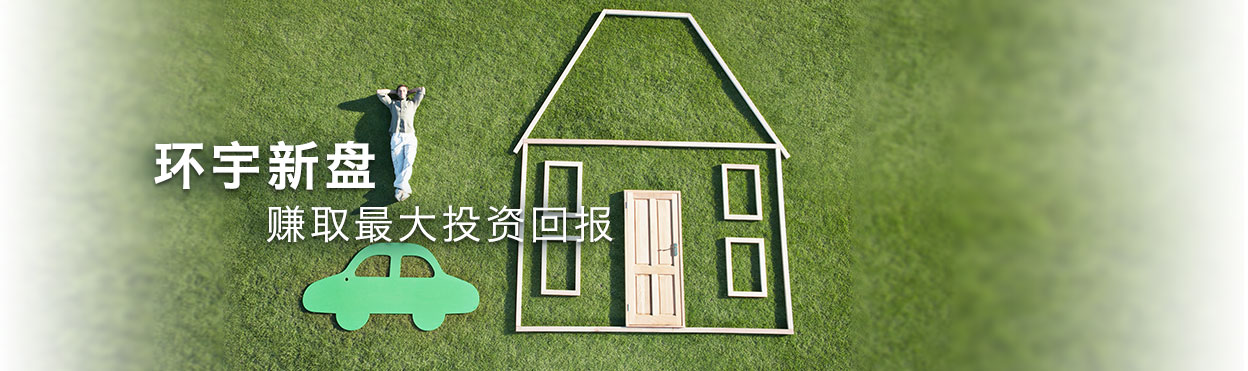 环宇新盘 赚取最大的投资回报